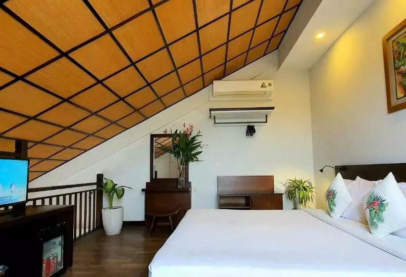 Duplex Suite
