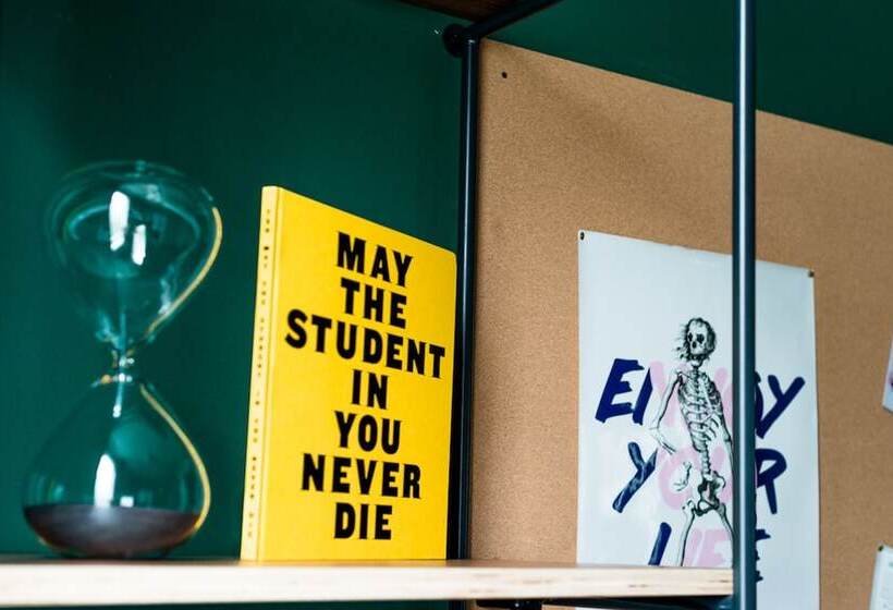 استودیوی لوکس, The Social Hub Groningen