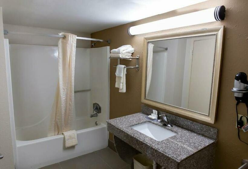 חדר סטנדרט עם מיטת קינג, Regency Inn