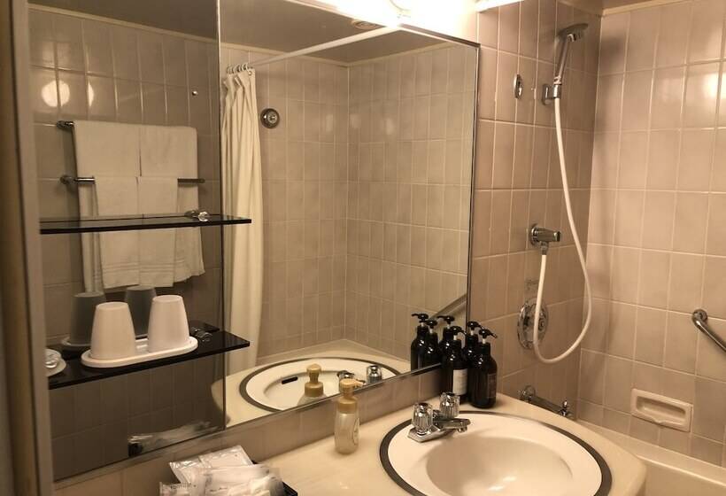 اتاق لوکس, Rembrandt Hotel Tokyo Machida