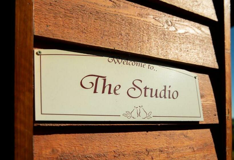 סטודיו סטנדרט עם נוף, Vivere Retreat