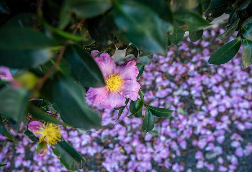 סטודיו סטנדרט עם נוף, Vivere Retreat