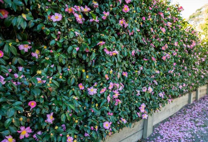 סטודיו סטנדרט עם נוף, Vivere Retreat