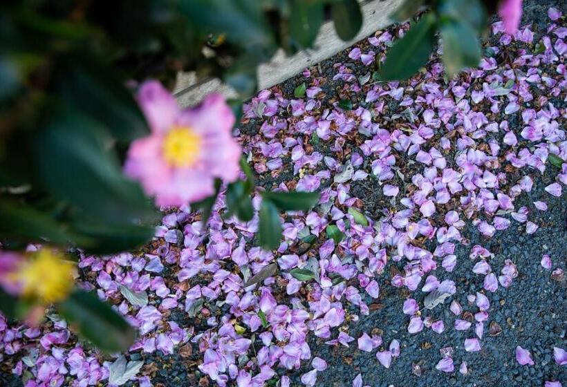 스탠다드 스튜디오 (전망), Vivere Retreat