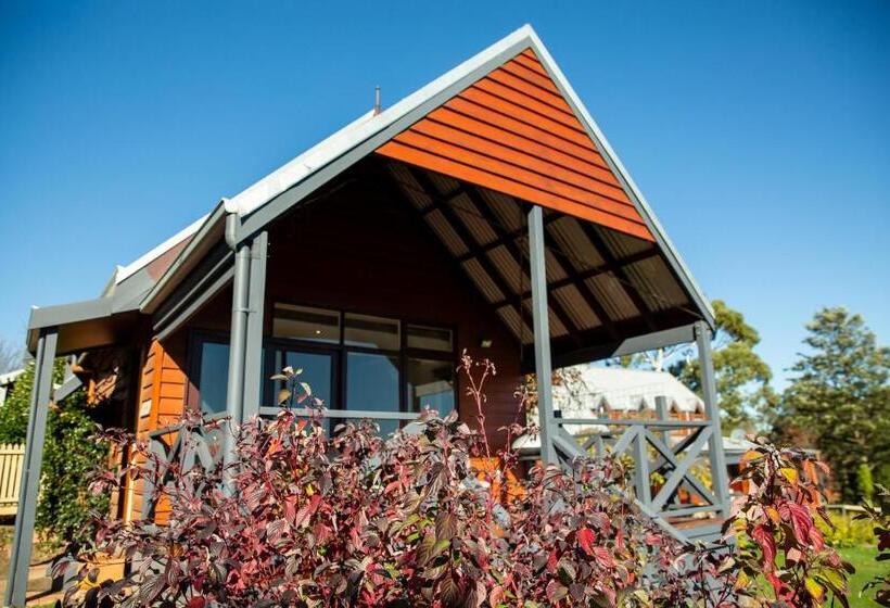 스탠다드 스튜디오 (전망), Vivere Retreat