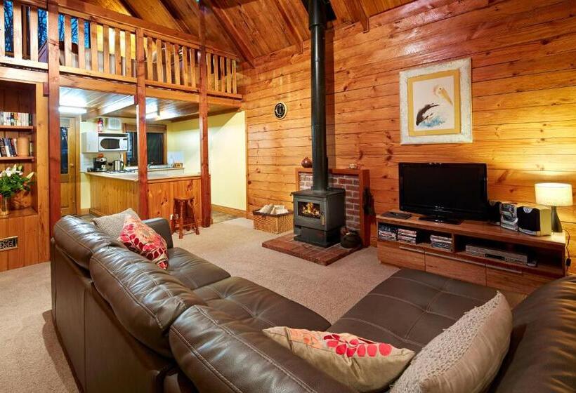 דירת שני חדרים, Vivere Retreat