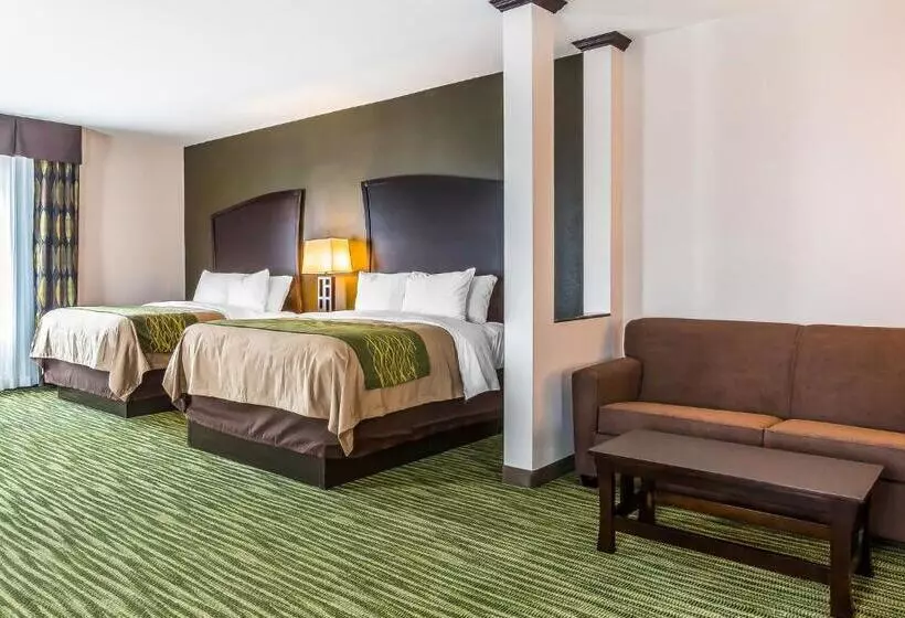 スイート, Comfort Inn & Suites Moore  Oklahoma City