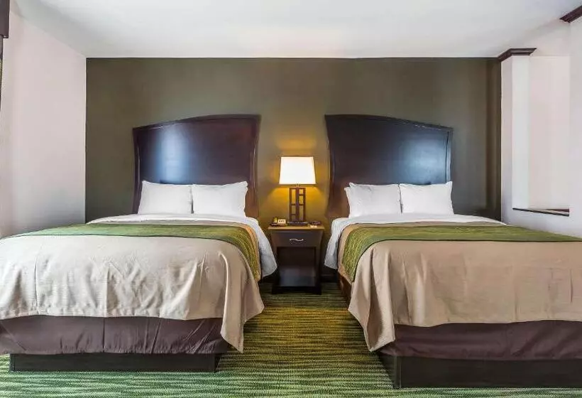 スイート, Comfort Inn & Suites Moore  Oklahoma City