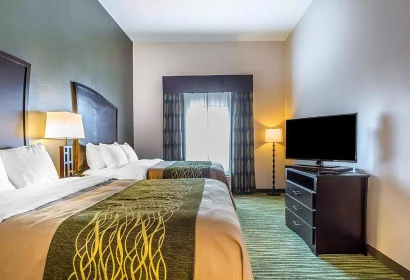 身障者適用スタンダードルーム, Comfort Inn & Suites Moore  Oklahoma City