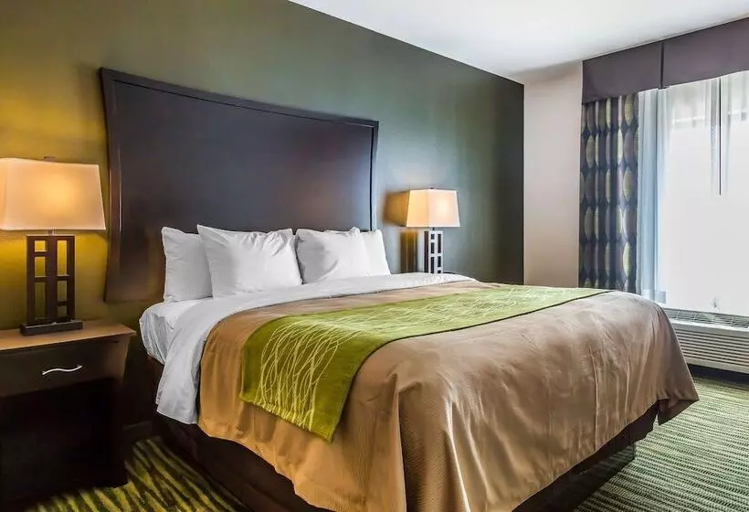 スイート, Comfort Inn & Suites Moore  Oklahoma City
