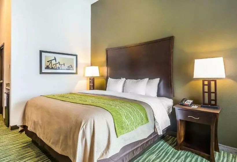 キングサイズベッドのスタンダードルーム, Comfort Inn & Suites Moore  Oklahoma City