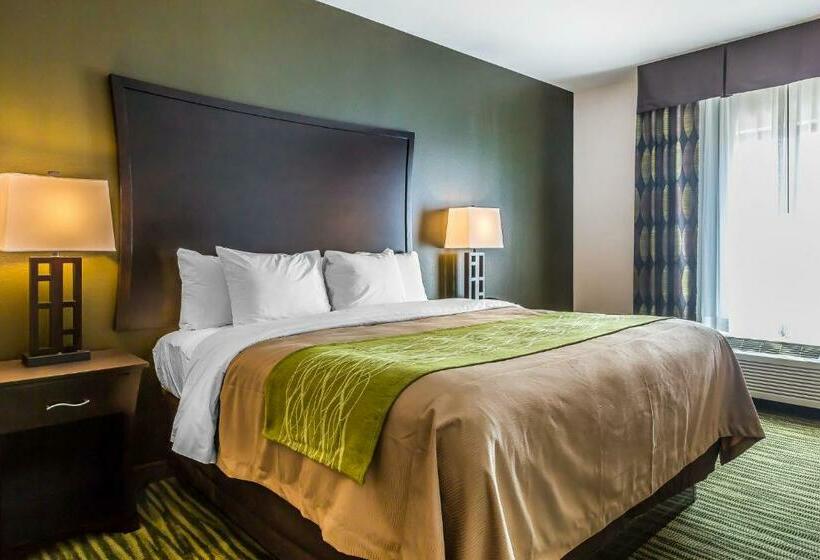 Стандартный Номер Кровать Кинг, Comfort Inn & Suites Moore  Oklahoma City