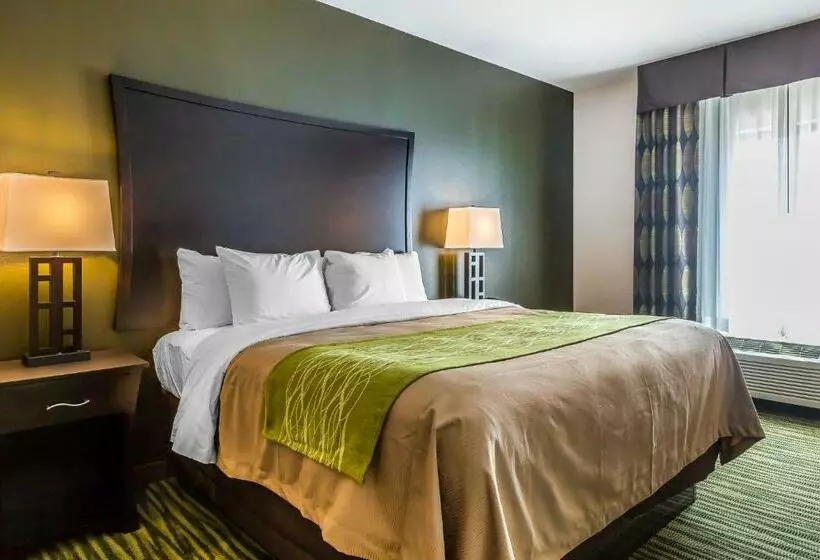 キングサイズベッドのスタンダードルーム, Comfort Inn & Suites Moore  Oklahoma City