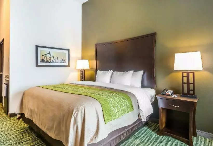 キングサイズベッドのスイートルーム, Comfort Inn & Suites Moore  Oklahoma City