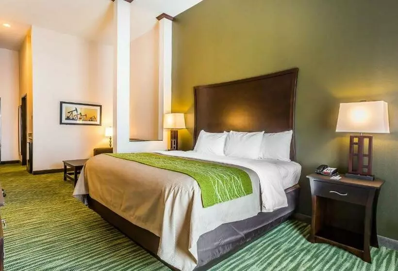 キングサイズベッドのスイートルーム, Comfort Inn & Suites Moore  Oklahoma City