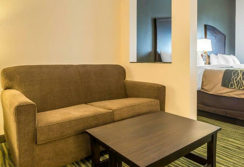جناح سرير كينج, Comfort Inn & Suites Moore  Oklahoma City