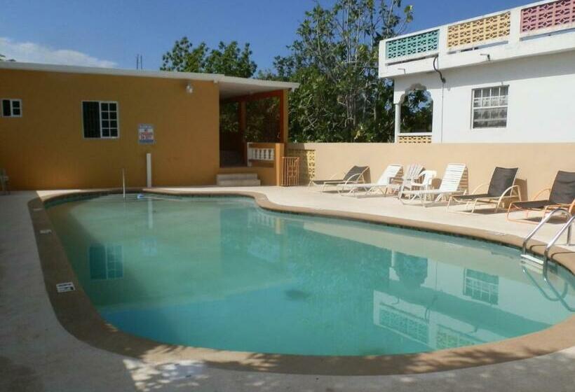 اتاق لوکس, Paradise On The Rocks