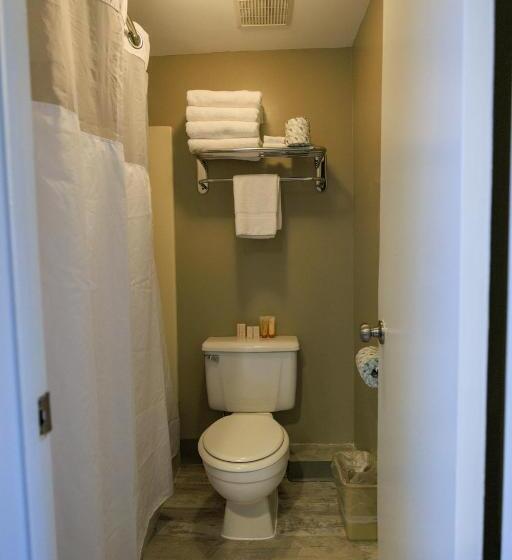 Pokój Basic Jednoosobowy, The White Sands Resort And Spa