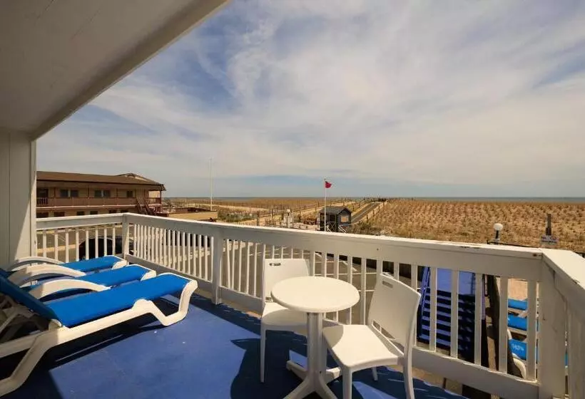 キングサイズベッドのスタンダードルーム, The White Sands Resort And Spa