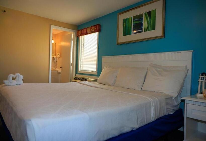 Junior Suite Widok Morze, The White Sands Resort And Spa