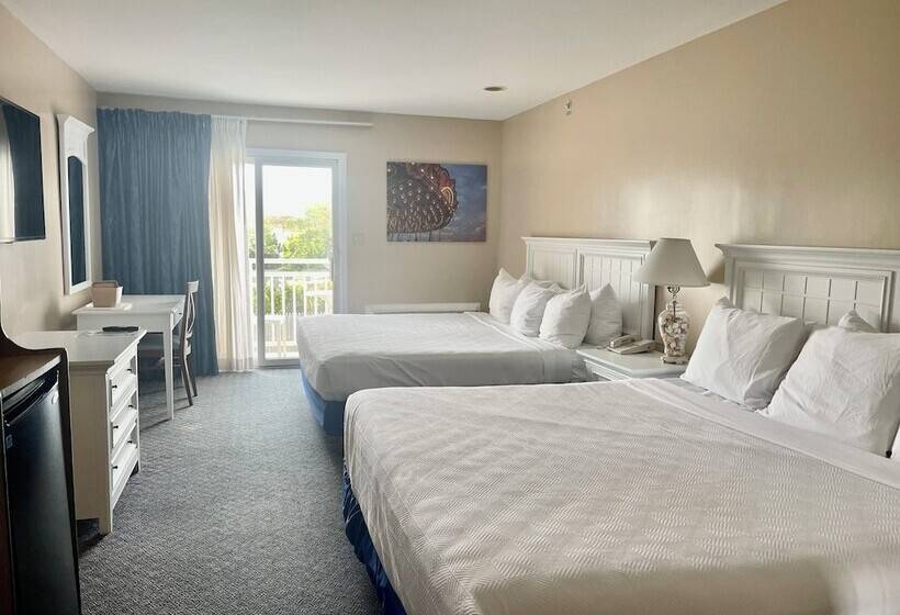 스탠다드 룸, The White Sands Resort And Spa