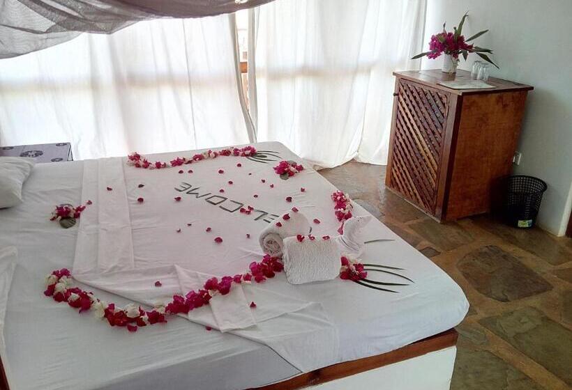 اتاق سوپریور, Silver Rock