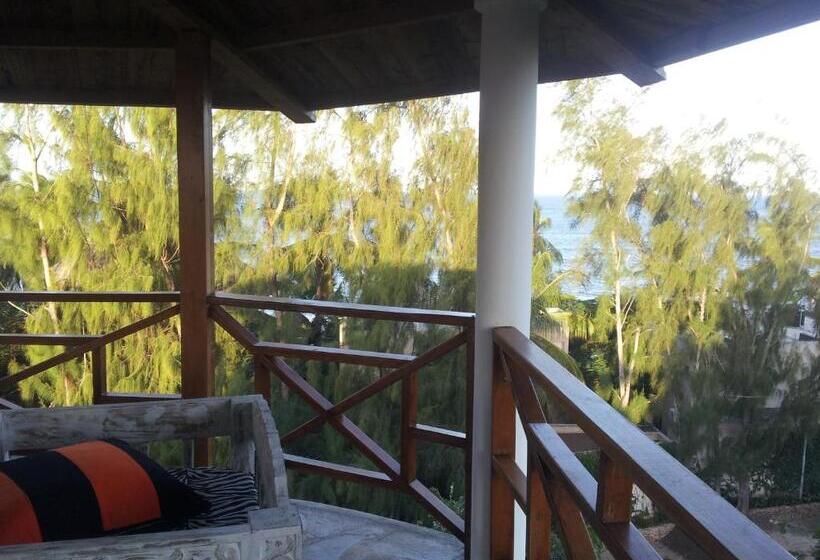 اتاق سوپریور, Silver Rock