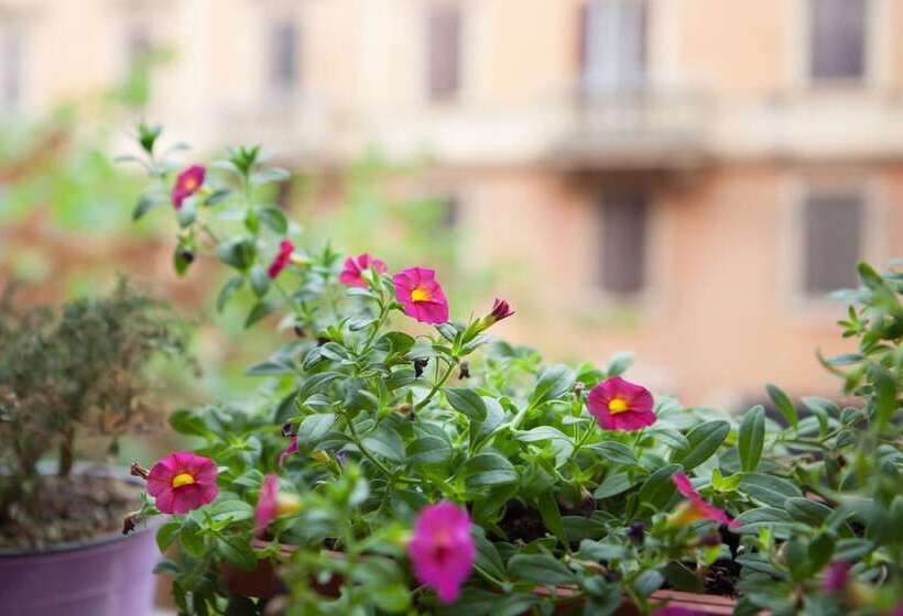 Standard room with outdoor bath, B&b Vatican's Keys