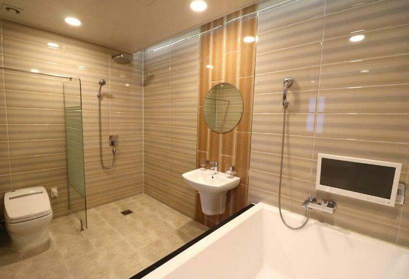 اتاق لوکس, Airport