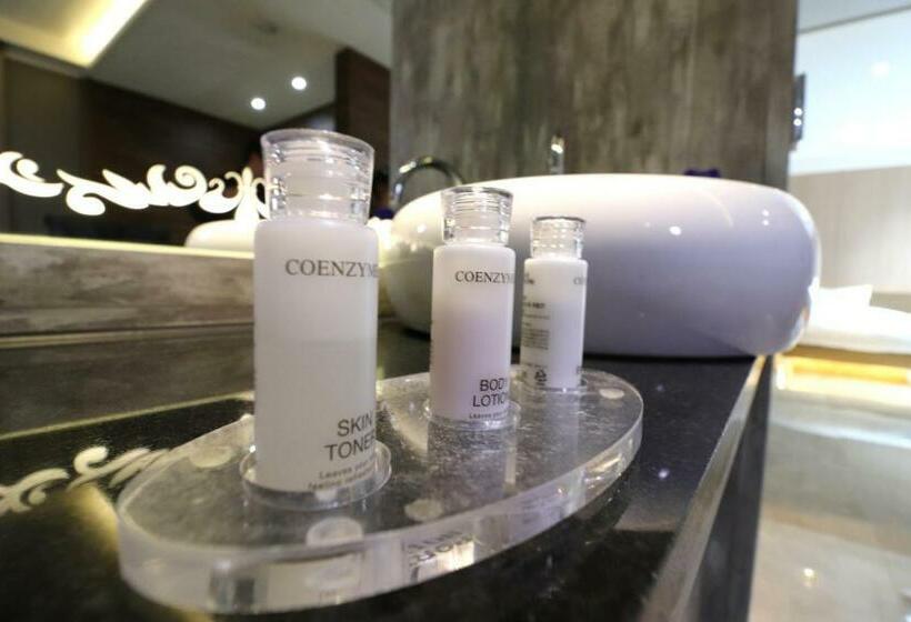 اتاق استاندارد, Airport