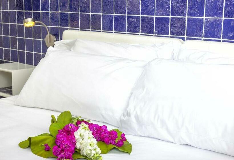 Standart Oda, Porta Del Tocco Design Rooms