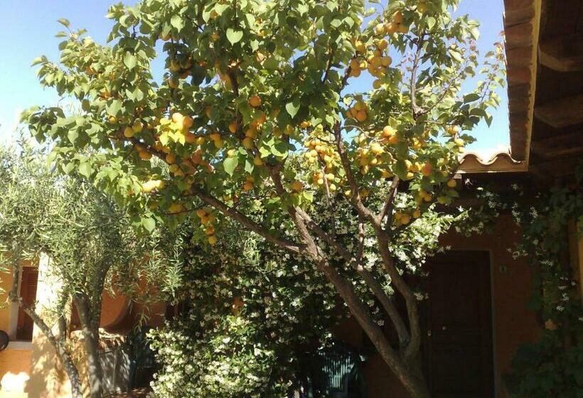 شقة غرفة واحدة, Residence La Pineta