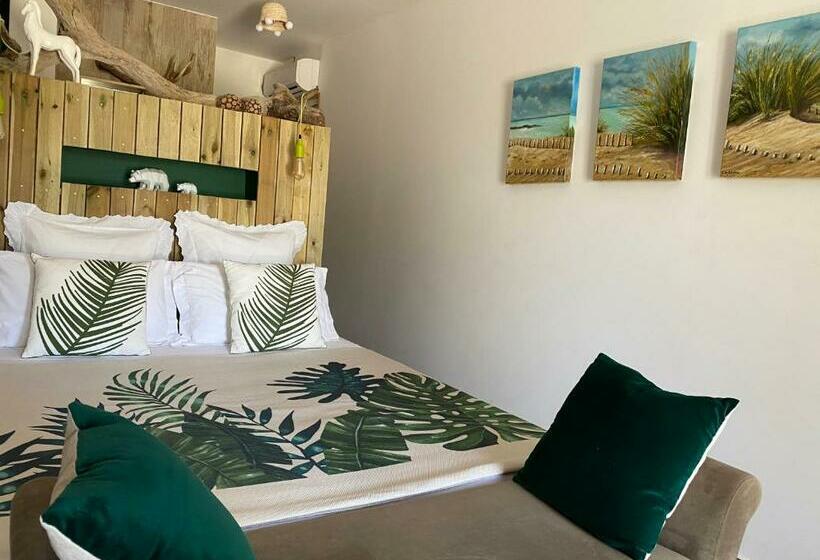 Номер Стандарт, B&b La Terre Brûlée
