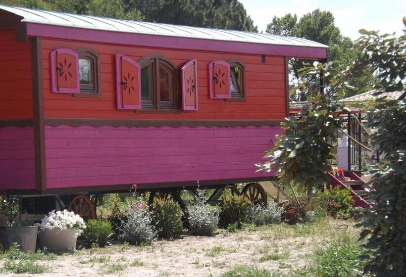 اتاق خانوادگی, B&b La Terre Brûlée