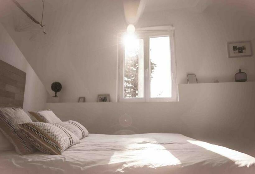 Номер Стандарт, Mas Lafleur