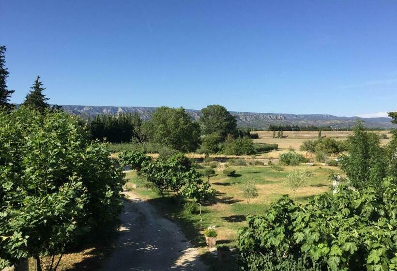 Номер Стандарт с Террасой, Auberge Les Olivades