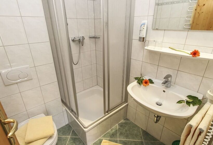 Апартаменты 1 Спальня, Appartements Trinker
