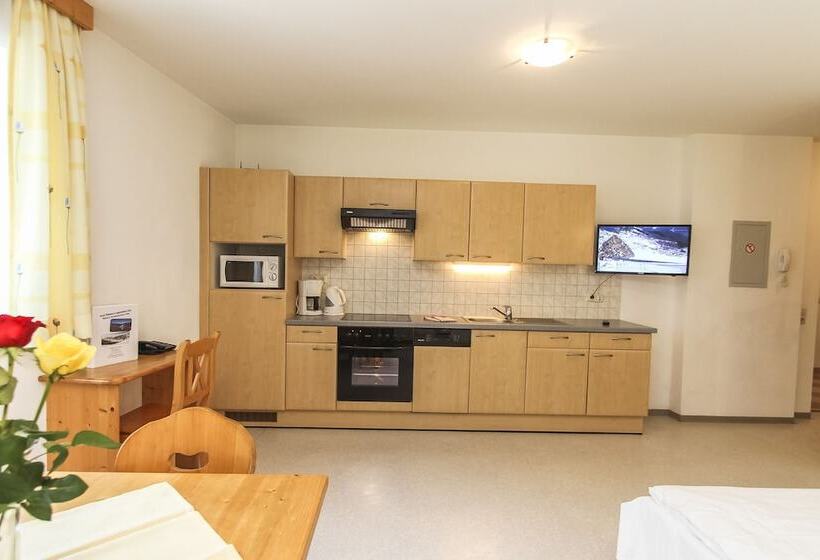 Апартаменты 1 Спальня, Appartements Trinker