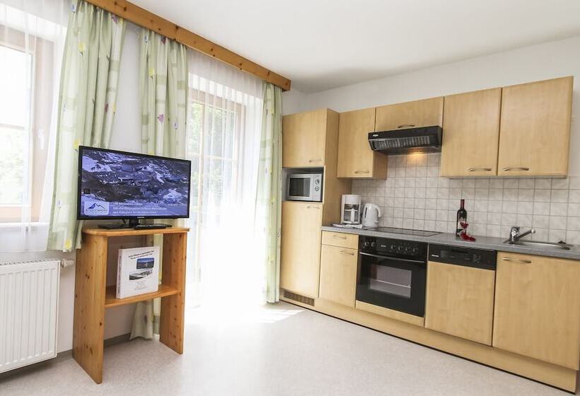 Апартаменты 1 Спальня, Appartements Trinker