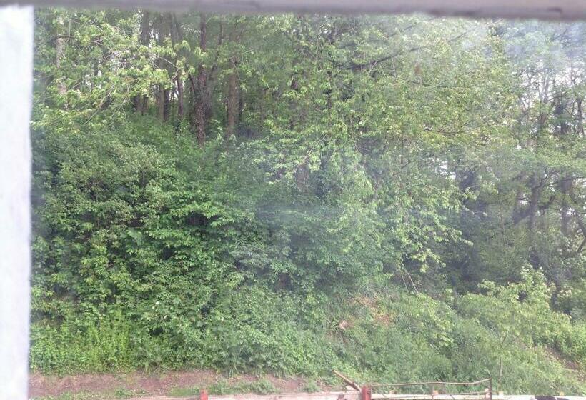 标准间, Bach Y Graig Farmhouse B&b