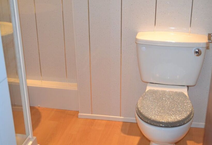 חדר דלוקס, The Holmlea