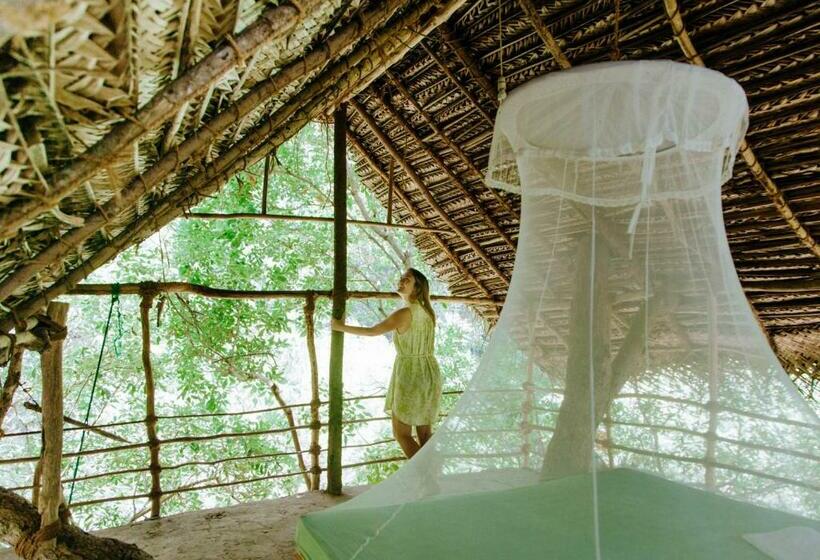 1间卧室的房子, Back Of Beyond   Wild Haven