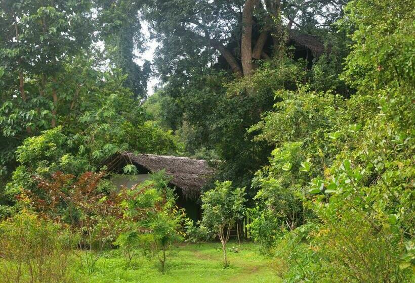 1间卧室的房子, Back Of Beyond   Wild Haven