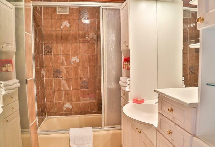 اتاق استاندارد سه نفره, Le Tremplin