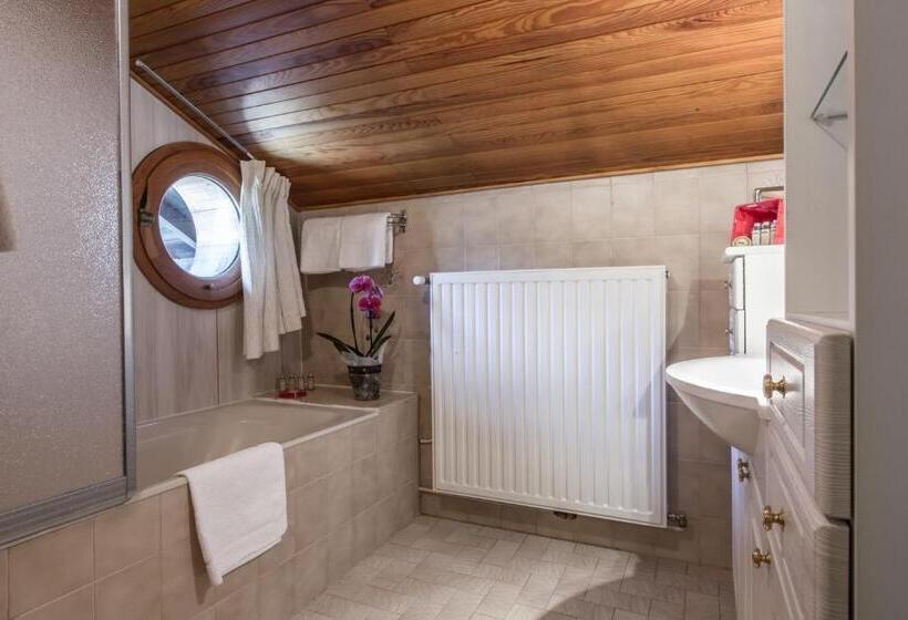 اتاق استاندارد با چشمانداز کوهستان, Le Tremplin