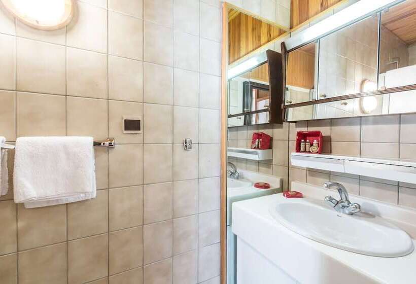 Economy Triple Room, Le Tremplin