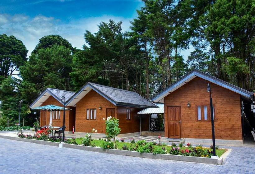 חדר דלוקס, Mirage Kings Cottage