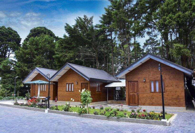 חדר דלוקס, Mirage Kings Cottage