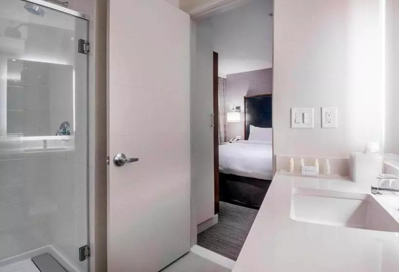 キングサイズベッドのデラックススイート, Residence Inn By Marriott Jersey City