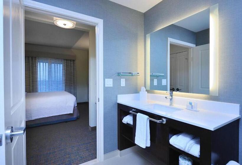 带大床的标准工作室, Residence Inn By Marriott Houston Tomball